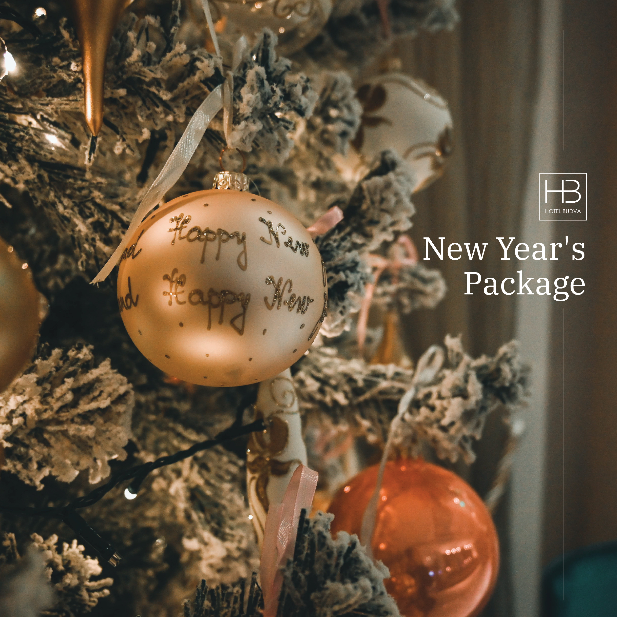 NEW YEAR'S PACKAGE